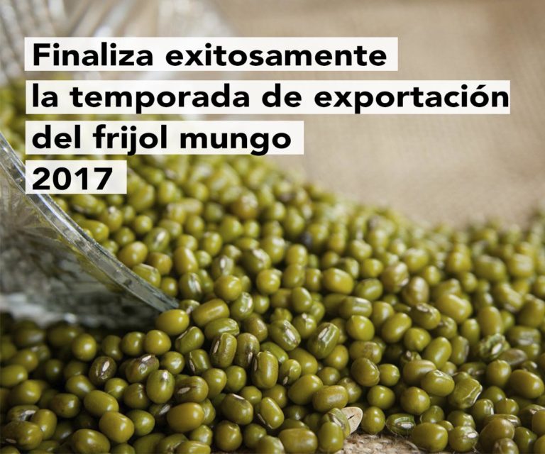 Successfully ends the mungo bean export season 2017