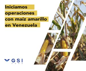 Lee más sobre el artículo GSI Food inicia operaciones de maíz amarillo a Venezuela