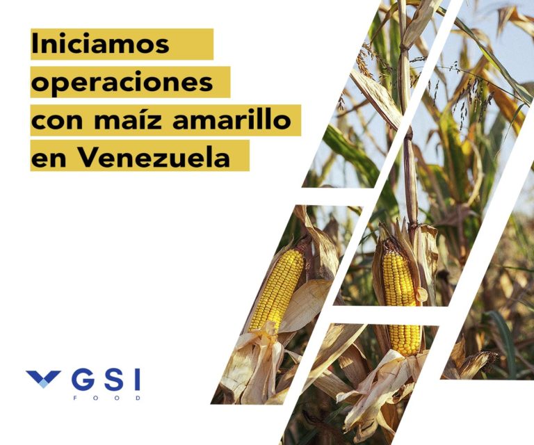 GSI Food inicia operaciones de maíz amarillo a Venezuela