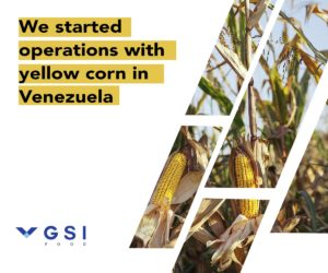 Read more about the article GSI Food Begins Yellow Corn Operations in Venezuela
