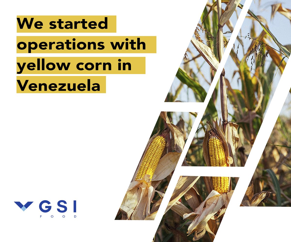 You are currently viewing GSI Food Begins Yellow Corn Operations in Venezuela