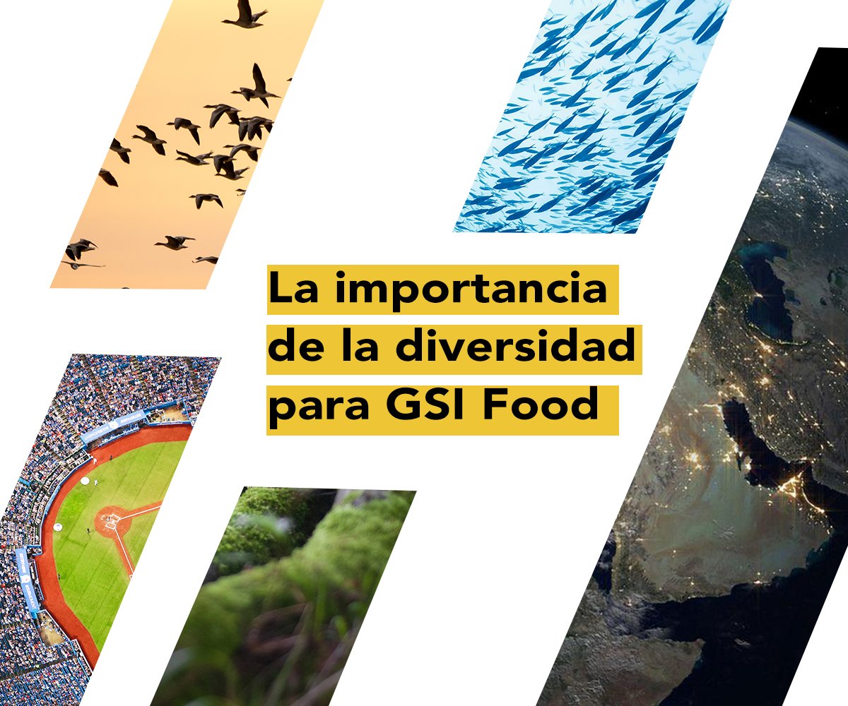 En este momento estás viendo GSI Food consolida la diversidad como competencia clave en su equipo de colaboradores