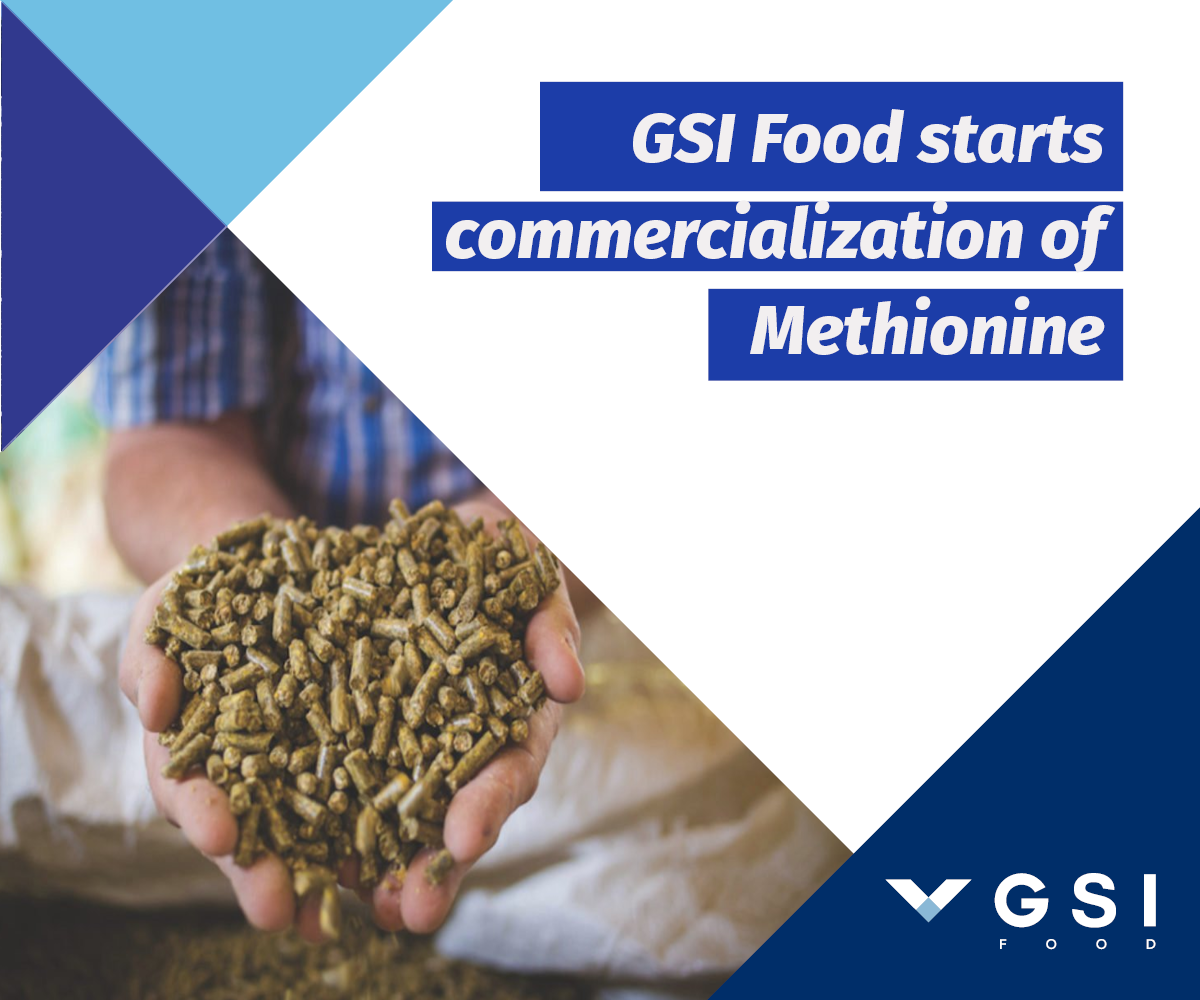 You are currently viewing GSI Food starts commercialization of Methionine for animal feed formulation.