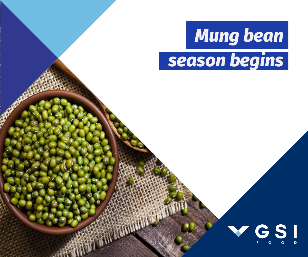You are currently viewing 2022 mung bean season begins